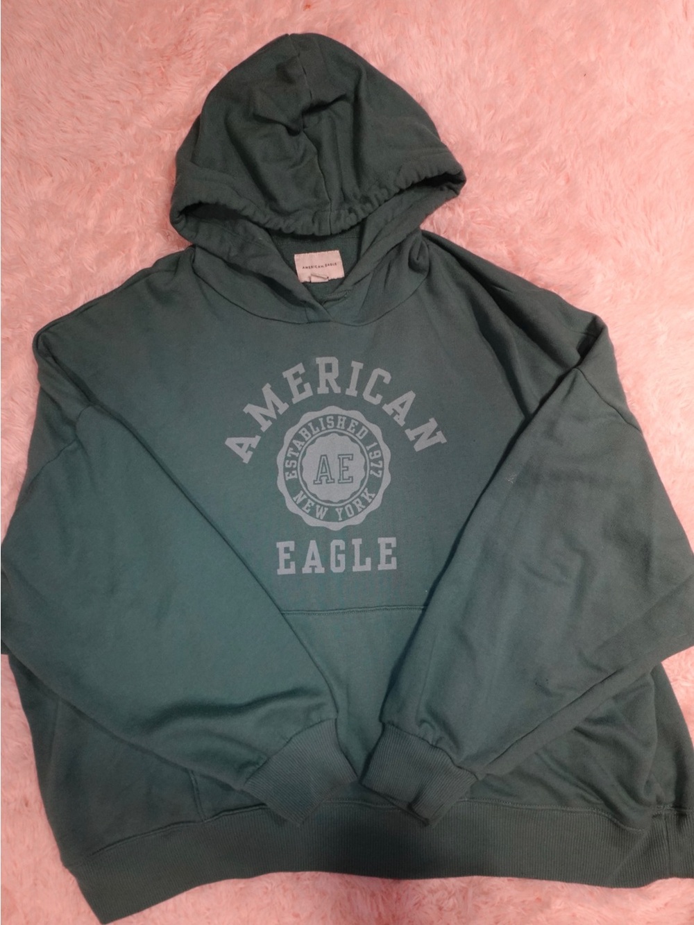 American Eagle Outfitters Teal Green Pullover Hoodie with Front Logo